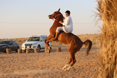 مربط فرسان البكيرية - Al Bukayriyah - +966 55 938 6563