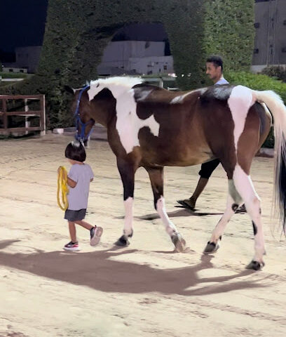 Elite Equestrian Club - Jeddah - +966 55 374 9230