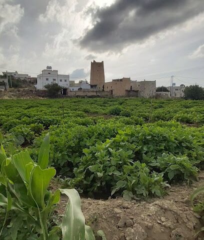 حديقة - Tanomah - +966 50 474 9897