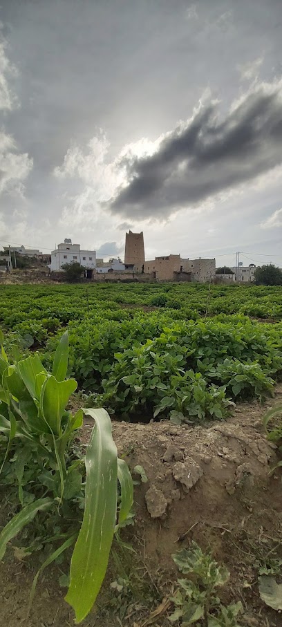 حديقة - Saudi Arabia|Tanomah 62713|X4WR+7M8