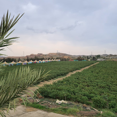 ٱل عثمان مزرعة الورد الطائفي - Abha -