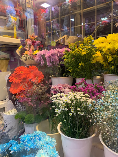 Zahoor. Basil.flowers - Dammam 32256