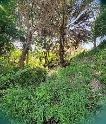 حدائق غابات الحمدة - Al Bahah -