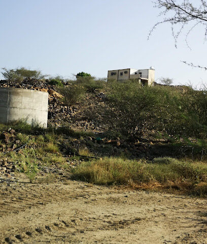 ابو حسن - Unnamed Road 65271، قرية الظهره بالعرضيه الجنوبيه - +966 55 330 4632