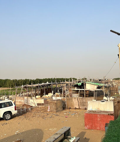 مزرعة بوز - Jazan -