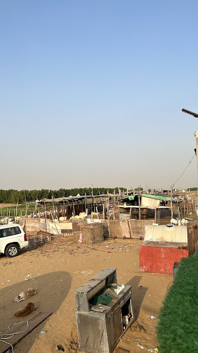 مزرعة بوز - Saudi Arabia|Jazan 82645|VMHC+3J
