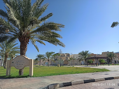 حديقة النخيل - Najran -