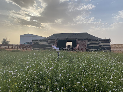 مزرعة محمدية سدير - Harmah - +966 55 440 0915
