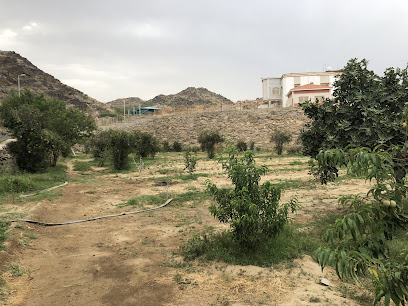 ركيب زيد - Abha -