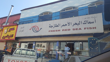 أسماك البحر الأحمر - Al Bahah - +966 17 722 2205