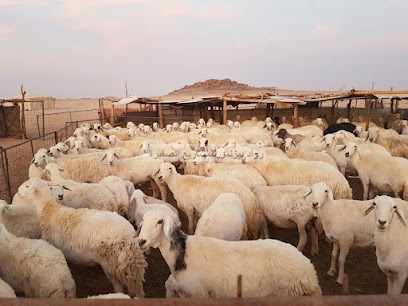 مكان حلال - Al Quamah -