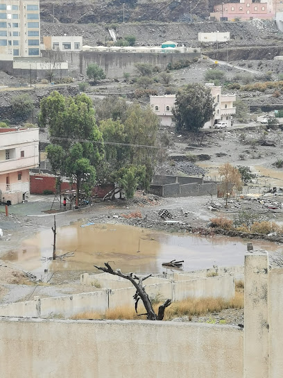 بئر حمدان بعيه جزاه الله خير الجزاء ورحم الله والديه - Saudi Arabia|65711|3904، الباحة 65711 7628 65711