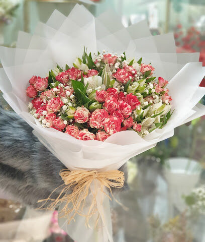 Cady Flower - Riyadh - +966 50 441 1177