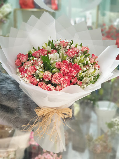 Cady Flower - Saudi Arabia|Riyadh 12444|King Salman Neighborhood|Abi Bakr As Siddiq Rd