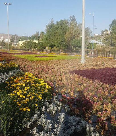 Abha Flower Show - Abha -