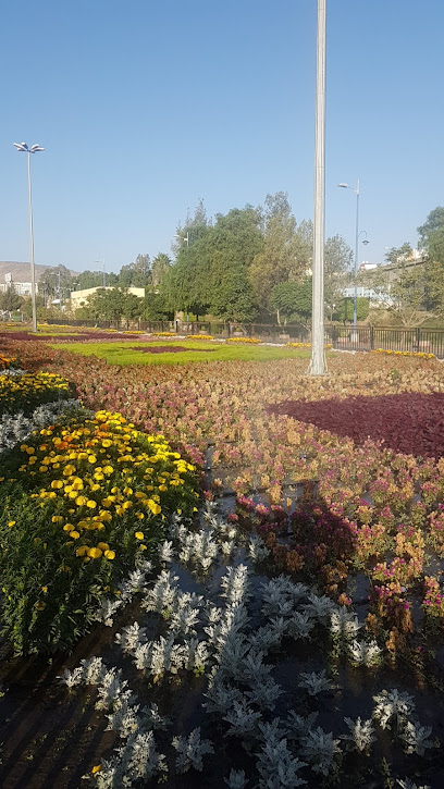 Abha Flower Show - Saudi Arabia|Abha 62521|As Sadd|6F7V+Q38