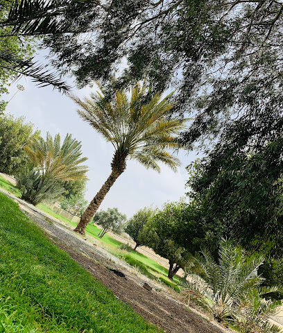 حديقة الغمّد - Taif -