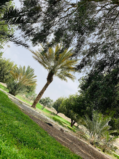 حديقة الغمّد - Saudi Arabia|Taif 26522|Al Khalidiyyah|79XM+49W