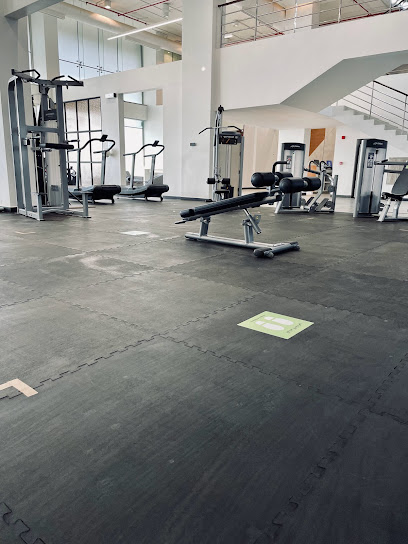 Nuyu Fitness - Taawun - Riyadh 54714