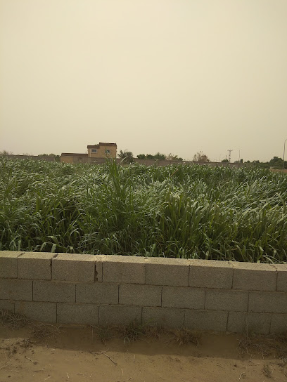 مزرعة عبدالله سعود العُمري - Saudi Arabia|82779|4486