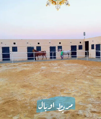 مربط اوبال للخيل - Safwa - +966 57 500 1005