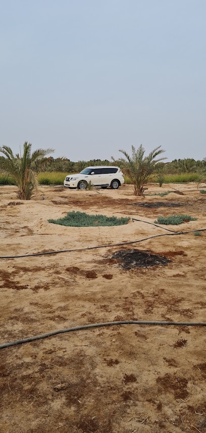 مزرعة أبو أنور الشمري - Saudi Arabia|Mulayjah 37444|79JV+9H