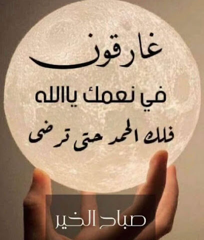 مزرعه أبو غالب - Al Madinah Al Munawwarah - +966 50 907 1804
