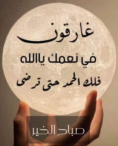 مزرعه أبو غالب - Saudi Arabia|Al Madinah Al Munawwarah 42336|حي 5459 مره بن شراحيل، 6634|As Sadiqiyyah