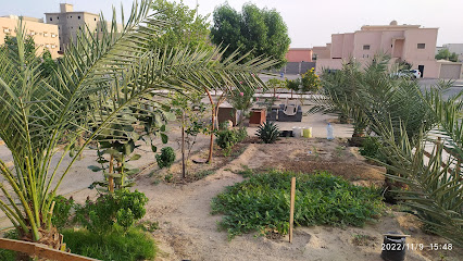 বাগান বাড়ি আল-খাফজী সৌদি আরব - Khafji - +966 50 016 3414