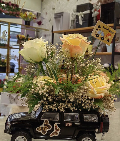 Butterflies - Abha - +966 53 478 4485
