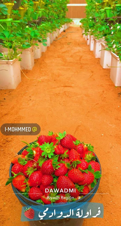 مزرعة الفراولة - Saudi Arabia|Al Duwadimi 17461|4414، 8253