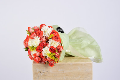Gala Rose - Riyadh - +966 11 511 9737