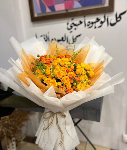 aulfa - Taif - +966 55 101 1800