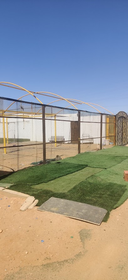 Football turf - Yanbu 46415