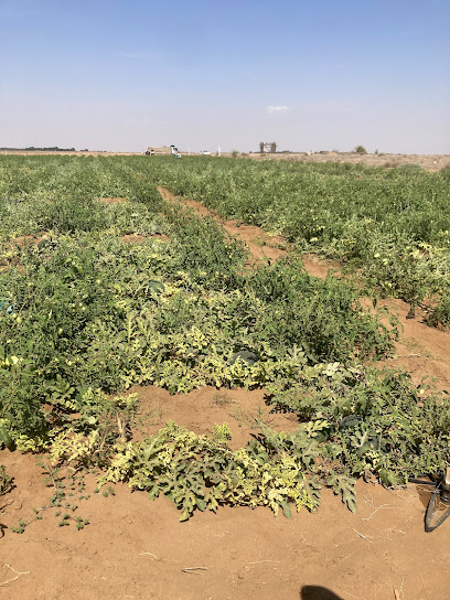 مزرعة ابوالنور - Saudi Arabia|Alamreiah 86354|HVR9+95