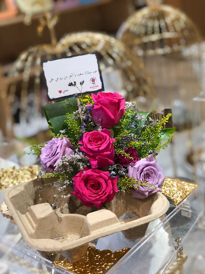 Flamingo flowers - Saudi Arabia|Yanbu 46422|Al Shati|عمر بن عبدالعزيز