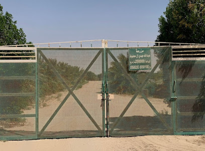 مزرعة الحاج عبدالله آل محفوظ - الجبيل - Al Jubail -