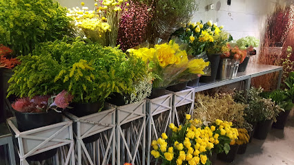 GARDENIA - Jeddah - +966 12 660 9220