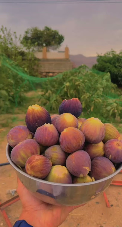 مزرعة ال حنبص - Saudi Arabia|Khlalah 62748