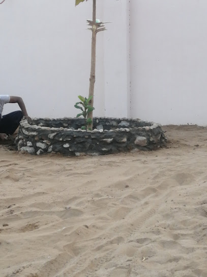 مزرعة المرحوم عبده صهيف كريري وأولادة - Saudi Arabia|Juha 86241|MVJX+26V