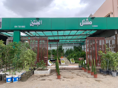 مشتل الجنتين - Khamis Mushait -