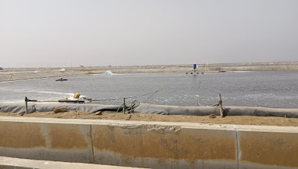 JAZADCO Shrimp farm -  -