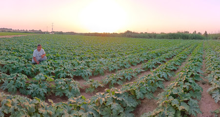 مزرعة ياسر ال ضاحي - Al Jubail -