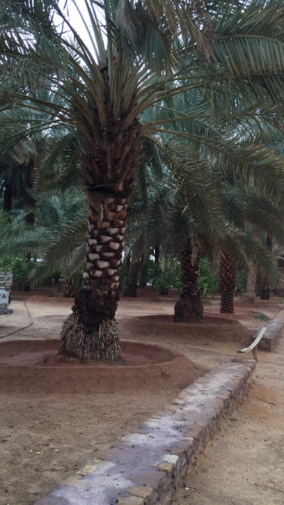 بستان السعداويّة - Sakaka 72442،