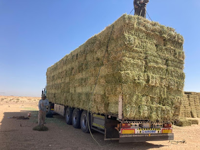 مزرعة هايل فالح الشراري - Tubarjal -