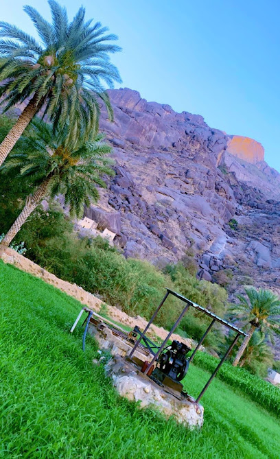 مزارع ال حسين - Saudi Arabia|Wadi Khat 63979،|2492