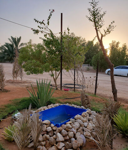 مزرعة الاوسط -  - +966 56 152 2296
