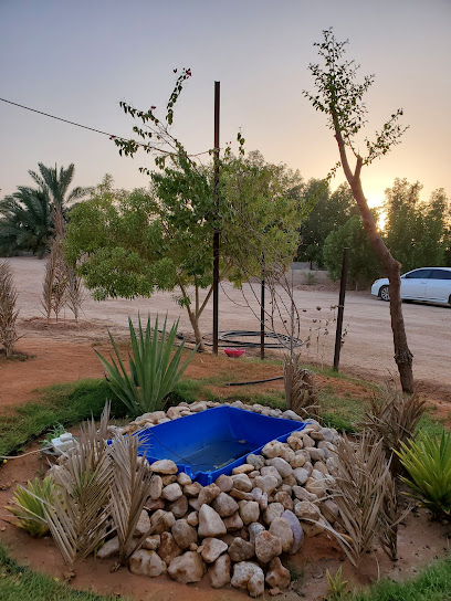 مزرعة الاوسط - Saudi Arabia|15528