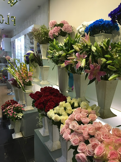 Spring Rose - Saudi Arabia|Al Khobar 34441|8330