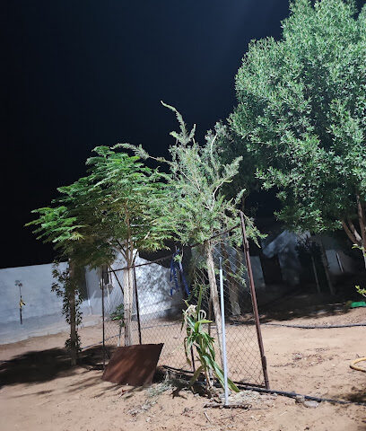 مزرعة شلفاح - Uthal -